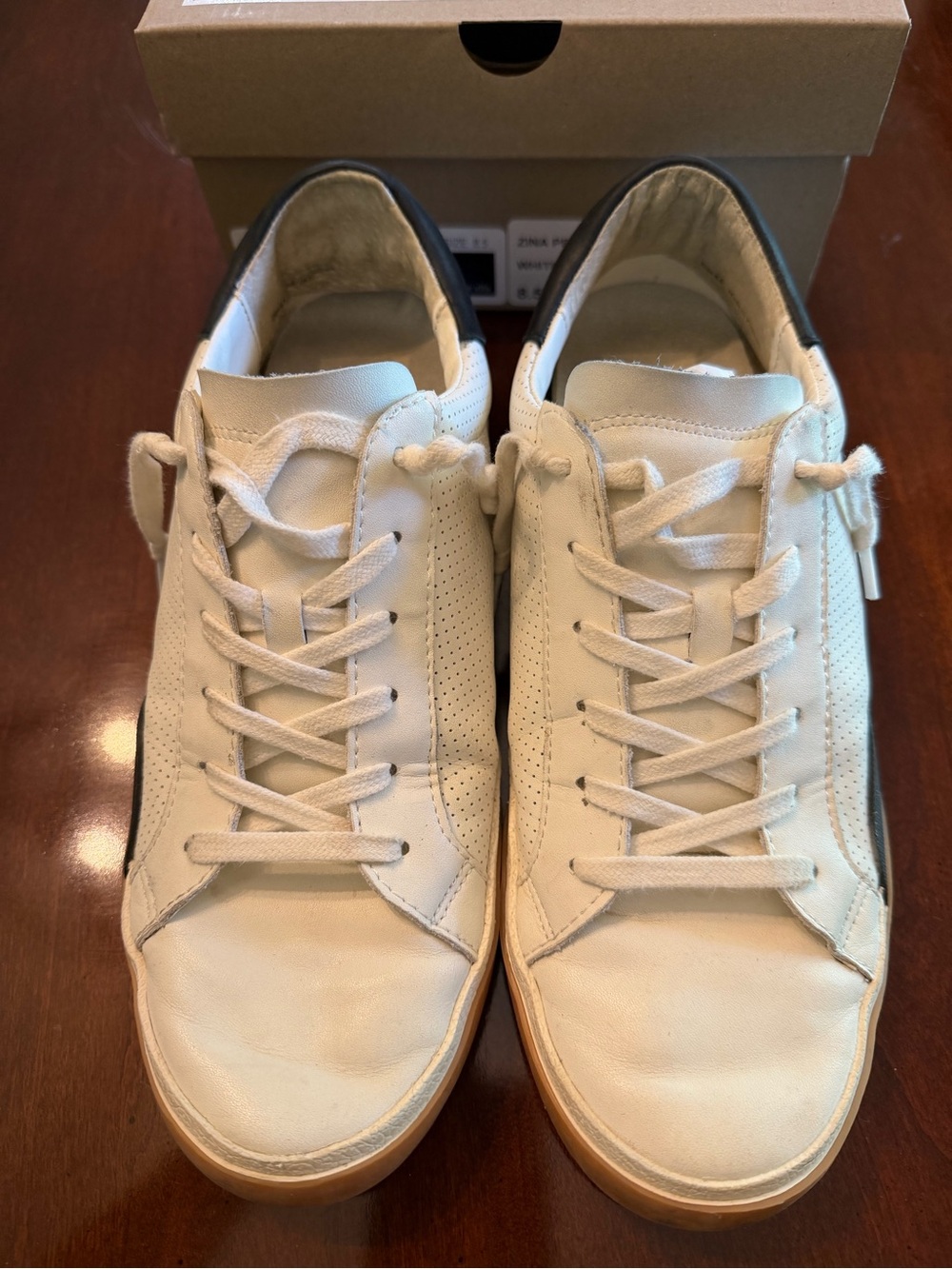 Zina Sneaker DOLCE VITA